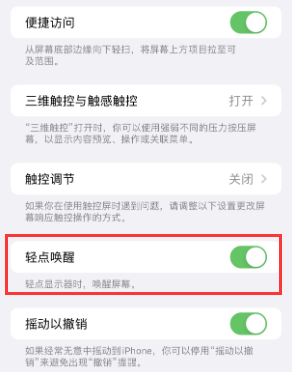 新河苹果授权维修站分享iPhone轻点无法唤醒怎么办 