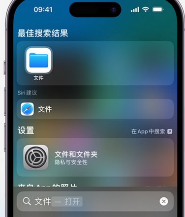 新河apple维修中心分享iPhone文件应用中存储和找到下载文件 