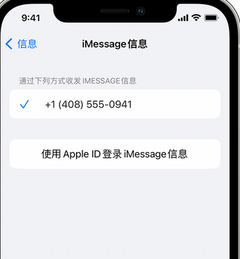 新河apple维修iPhone上无法正常发送iMessage信息 