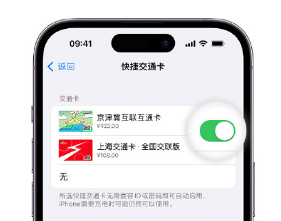 新河apple维修点分享iPhone上更换Apple Pay快捷交通卡手绘卡面 