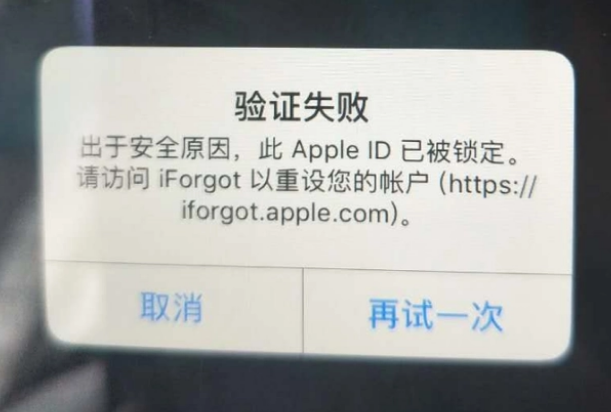 新河iPhone维修分享iPhone上正常登录或使用AppleID怎么办 