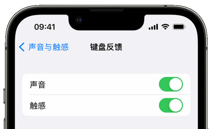 新河苹果手机维修分享iPhone 14触感键盘使用方法 