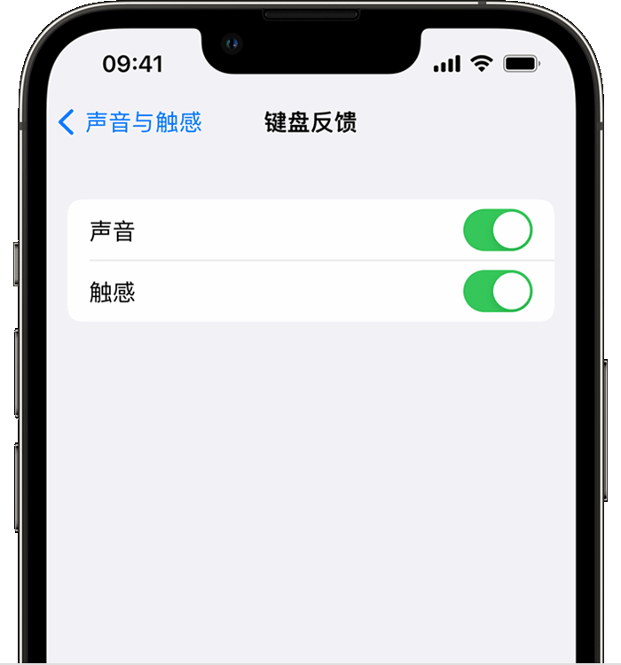 新河苹果14维修店分享如何在 iPhone 14 机型中使用触感键盘 