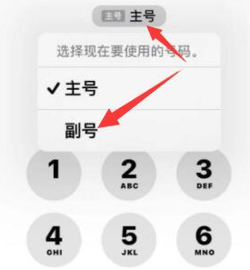 新河苹果14维修店分享iPhone 14 Pro Max使用副卡打电话的方法 