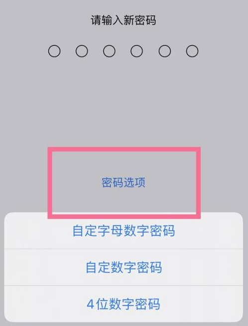 新河苹果14维修分享iPhone 14plus设置密码的方法 