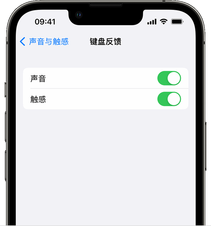新河苹果14维修分享iPhone 14 系列机型如何开启键盘声音或触感反馈 