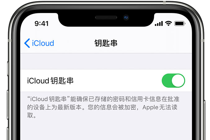 新河苹果手机维修分享在 iPhone 上开启 iCloud 钥匙串之后会储存哪些信息 