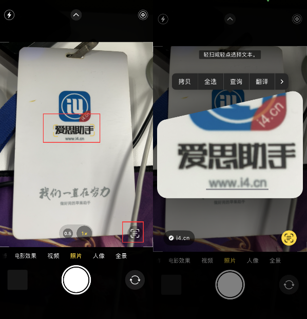 新河苹果手机维修分享升级iOS 16后如何通过相机翻译文本 
