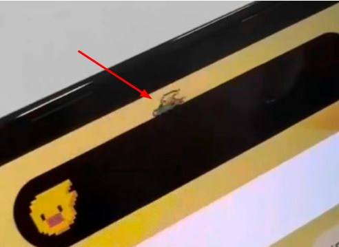 新河苹果14维修分享iPhone 14 Pro Max灵动岛怎么养宠物 