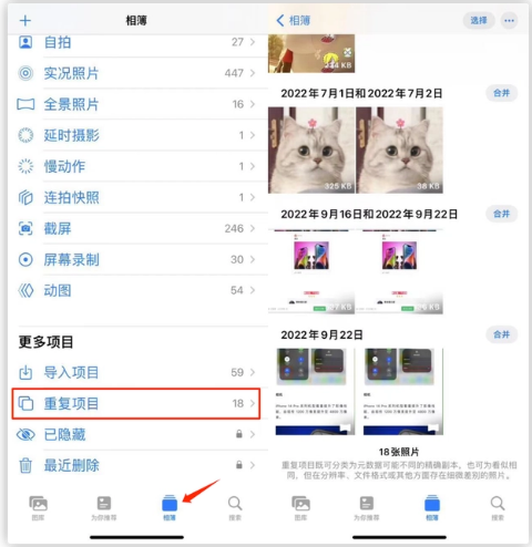 新河苹果手机维修分享iOS 16 中相册重复项目功能使用方法 