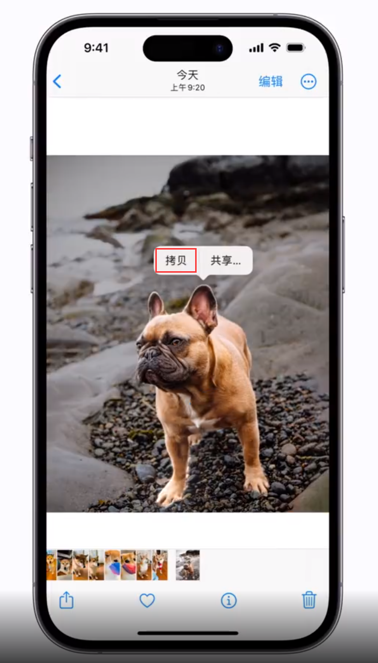 新河苹果手机维修分享 iOS 16 自带一键抠图功能 