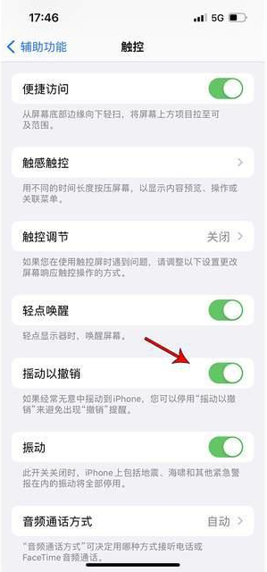 新河苹果手机维修分享iPhone手机如何设置摇一摇删除文字 