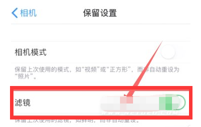 新河苹果13维修分享iPhone13拍照有绿点是怎么回事 
