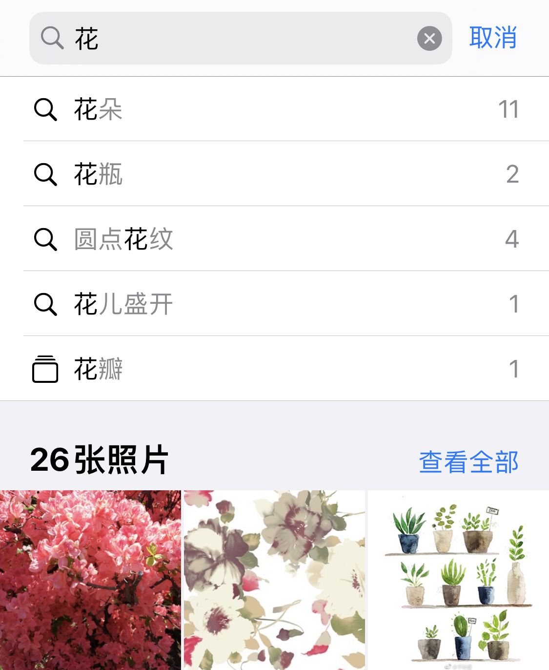 新河苹果手机维修分享iPhone 小技巧 