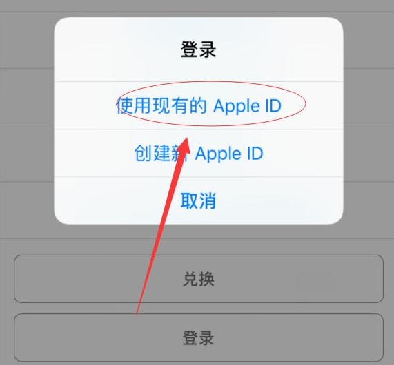 新河苹果手机维修分享两台iPhone设备可以同时登录一个Apple ID吗 