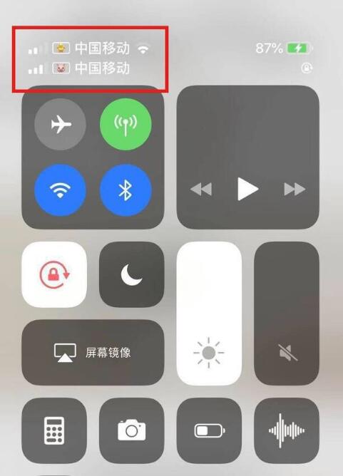 新河苹果手机维修分享为 iPhone 12 双卡设置标签 