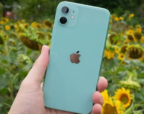 新河苹果维修点分享iPhone 11锁屏密码认知与使用科普 
