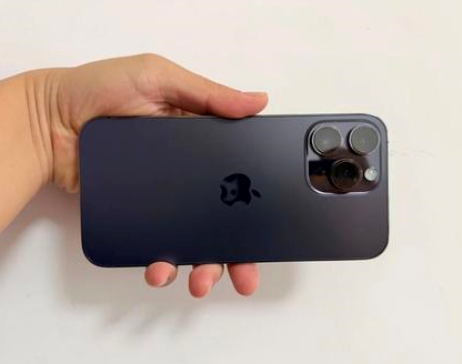 新河苹果维修点分享iPhone 14 Pro Max发烫多重诱因剖析 